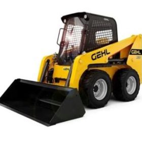 Gehl R Series Poly Windshield - Forestry doors